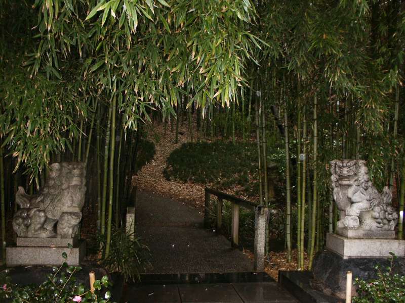 ideas de jardín de bambú