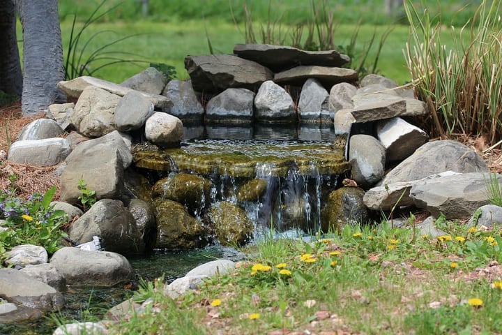 rocas de jardín en estanque