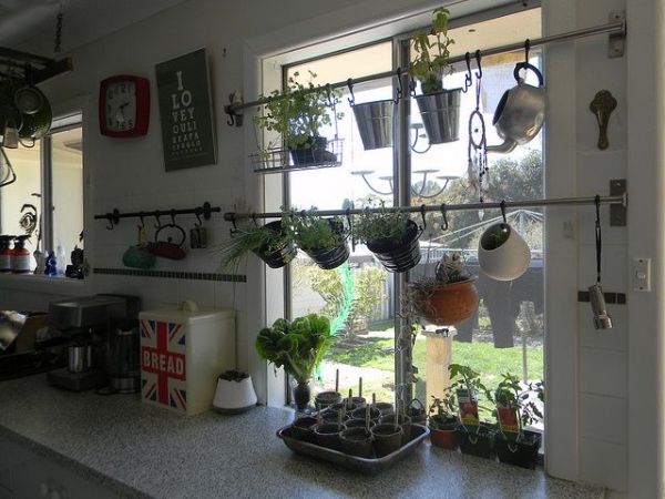 Jardinería Interior de Cocina